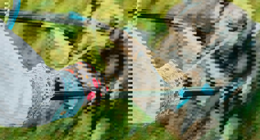 Ave Calvar Mrhwcosjle Unsplash