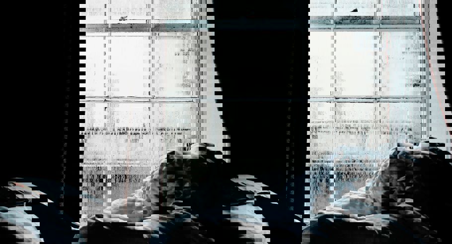 Fleur Nihyl6iphoi Unsplash