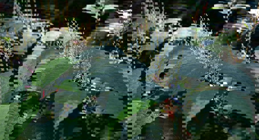 Ries Bosch Rltpexsz67m Unsplash