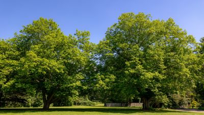 The Property Managers' Guide to Green Space Management
