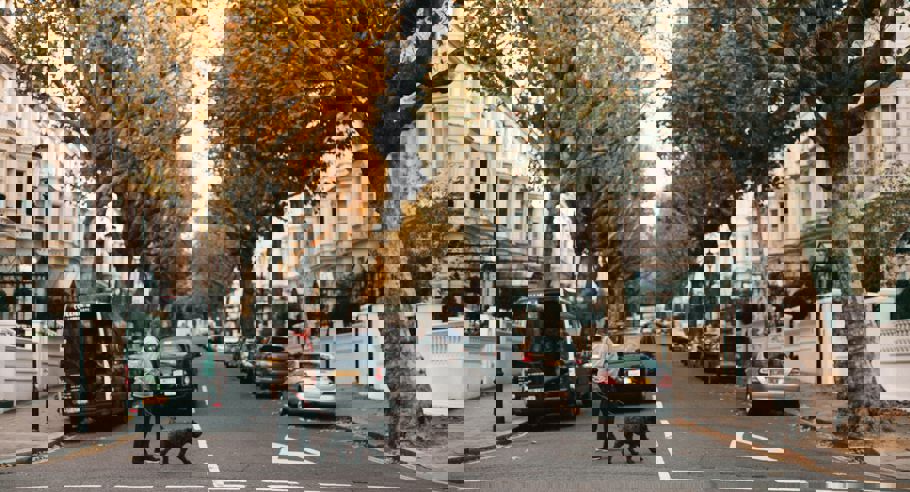 E26db67d7f0c52ee15cf54473106a3e0