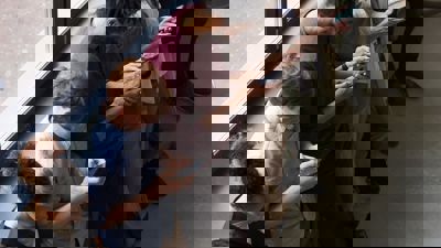 People on their phone in an office